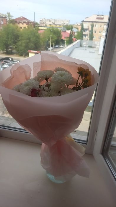 Продам цветы ___Звонит по номеру