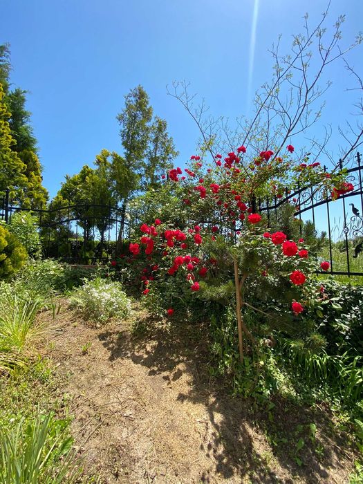 Продава се Едностаен апартамент в Свети Влас - 39 кв.м за 1180 €/кв.м - Снимка #18