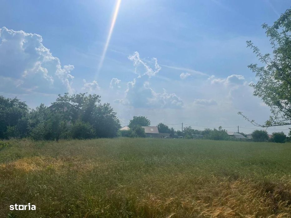 Vanzare teren intravilan Cernica_Tânganu, lot 954mp
