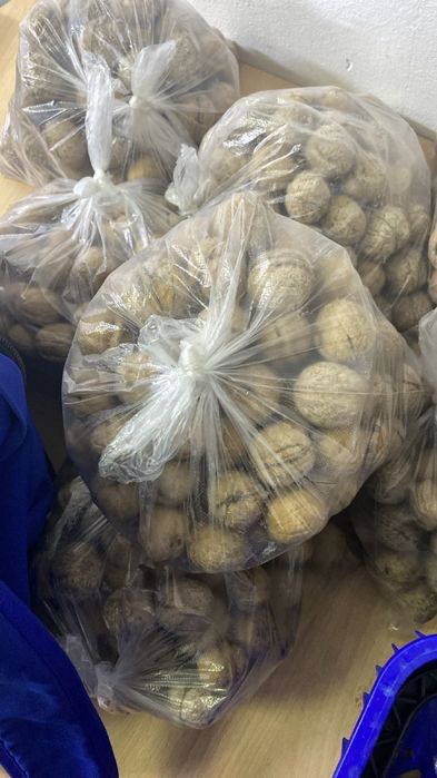 Грецкий орех свежие