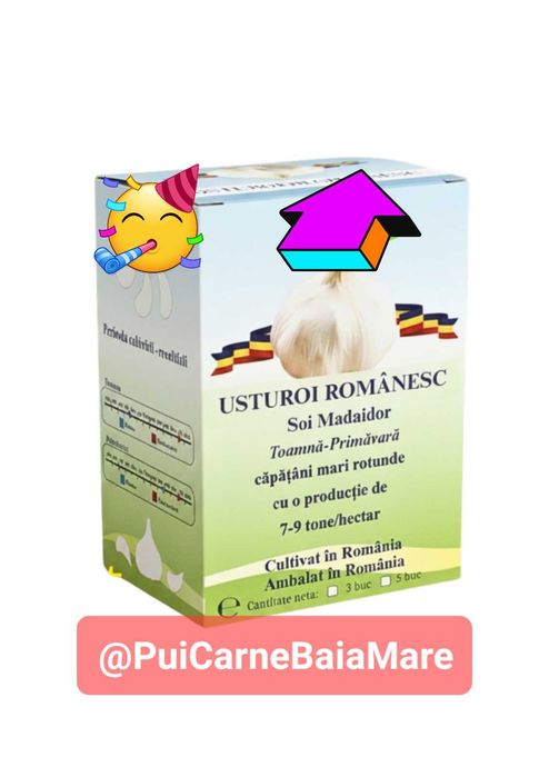 Arpagic si Usturoi de toamna