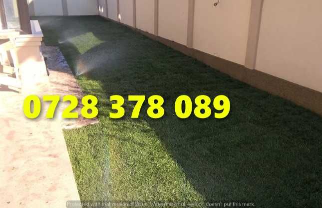 Gazon rulou - Gradina Verde vesnica Garantat ! Firma autorizata