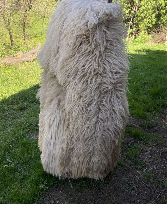 Vand cojoc ciobanesc cusut manual