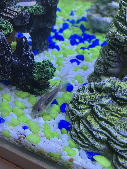 Аквариум RS Electrical 420 40л