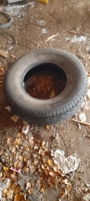 Продам резину R15