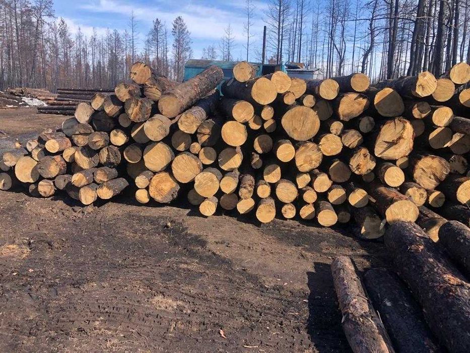 отын, опилка, поддон сатылады. Бағасы келісім бойынша.