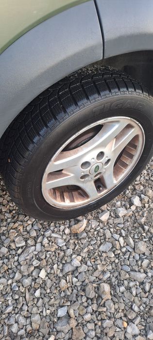 Фрилендър фрилендър фрилендър