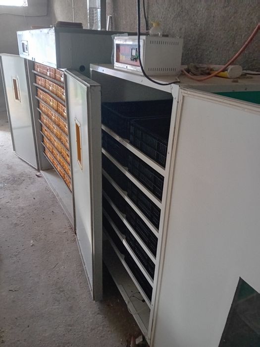 Vînd sau schimb Incubator 2200 ouă de găină profesional + eclozor