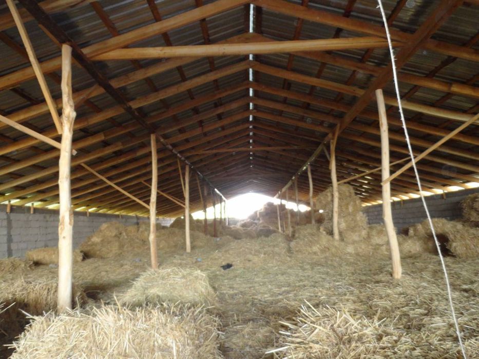 Участок с фермой 40соток срочно