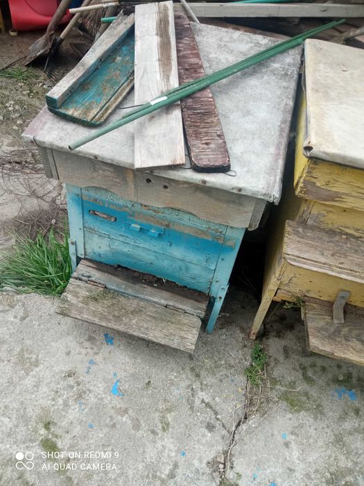 Пчелни кошери дадан блат