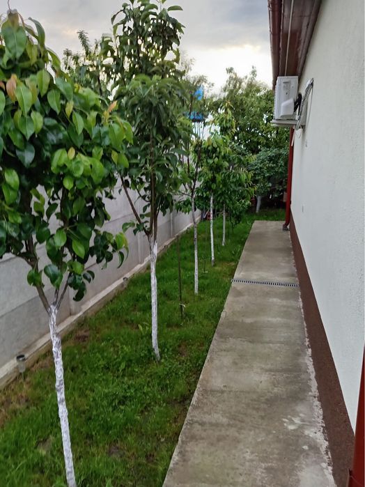 Vila de vanzare Afumati IF