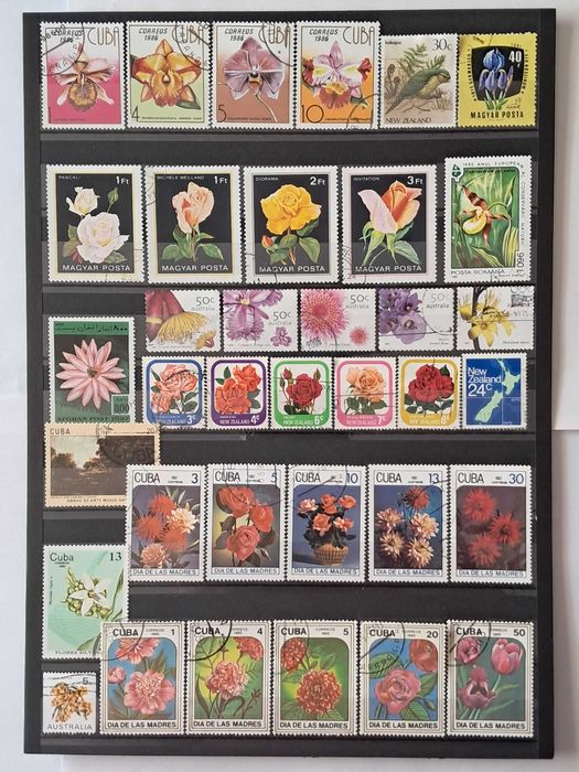 Пощенски марки тема ”Растения”.