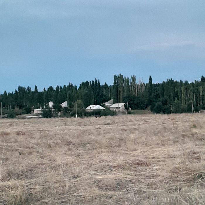 Жер сатылады. Төлеби ауданы .  Диханкөл  ауылы