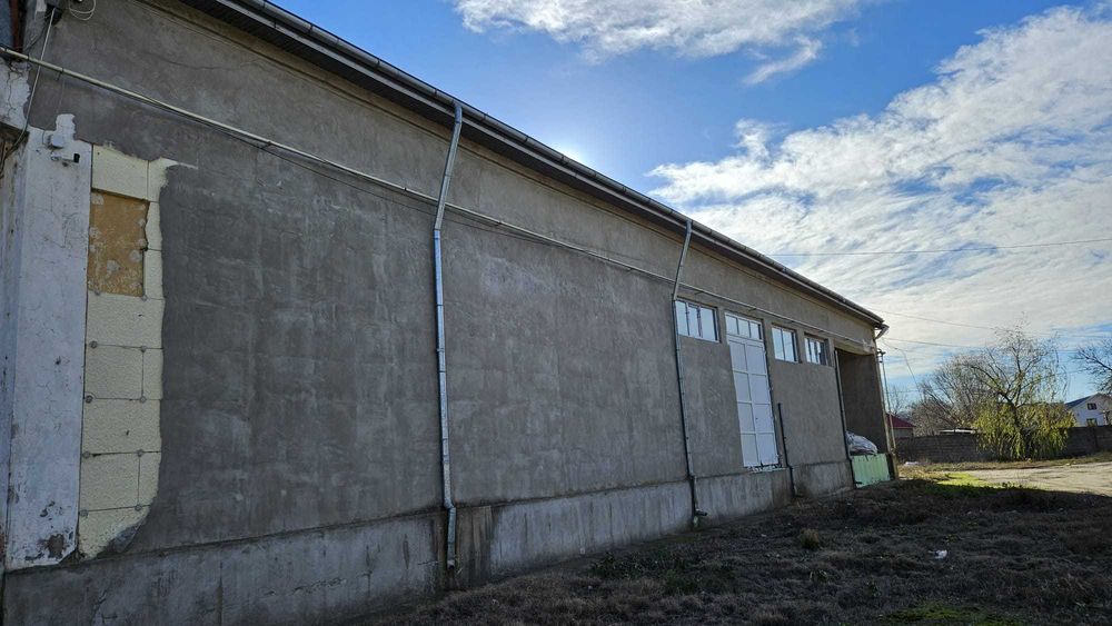 Hale Depozit Birouri  de INCHIRIAT Alexandria