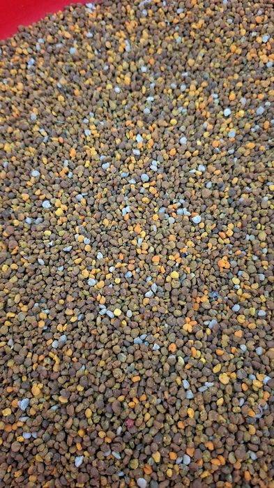 Polen crud proaspăt