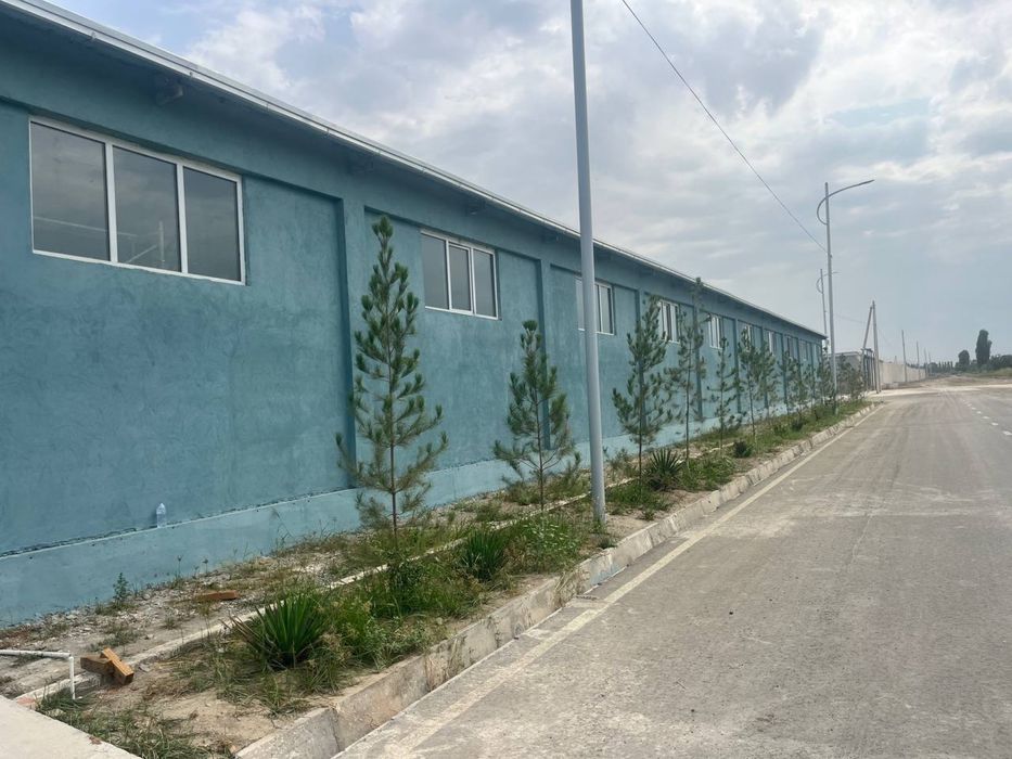 1550 kv/m joy arendaga beriladi