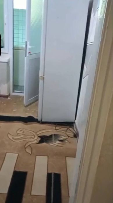 Сдается 1 комнатная квартира ТТЗ, Автостанция Саниф