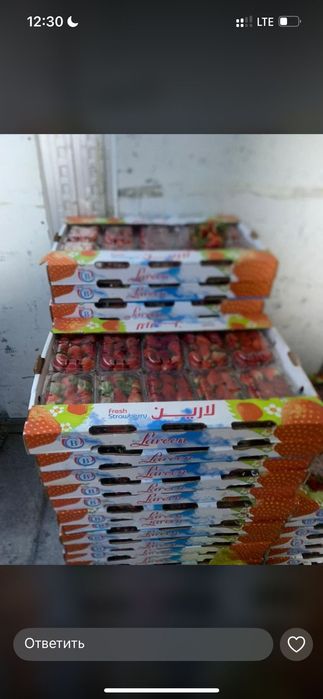 Клубника свежый арзан бағада