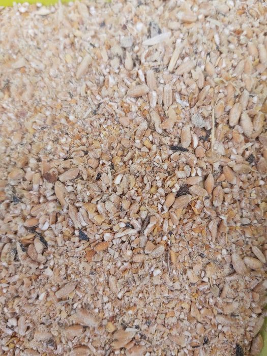 Furaj pentru gaini ouatoare FNC