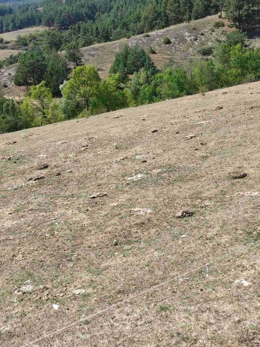 Продава се Земеделски имот в Велинград -  кв.м за 45000 €/дка - Снимка #1