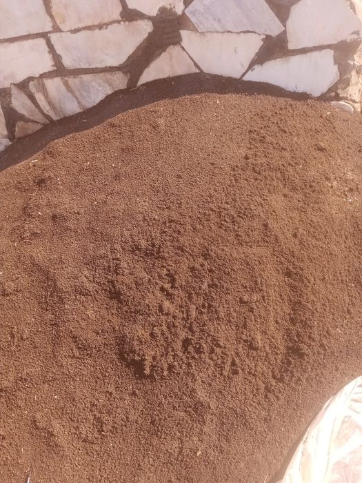 Bio gumus va kaliforna yomgir juvalchangi sotiladi