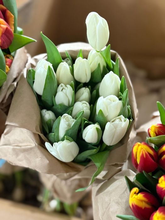 Тюльпаны на 8 марта