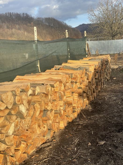 ‼️Lemne de foc de calitate superioară [Fag,Gorun,Carpen,Cer]