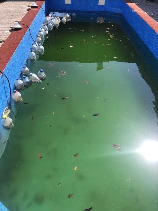 Расконсервация, мойка бассейна