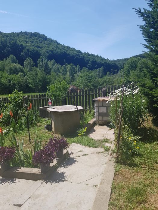 Casa la 20km de Severin