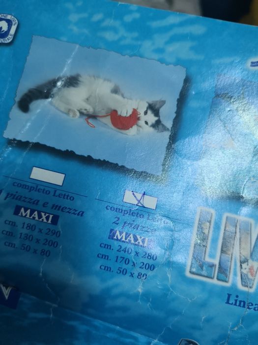 Lenjerie pisici albastra