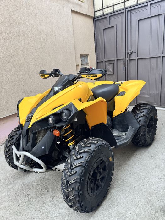 Can am renegade 500