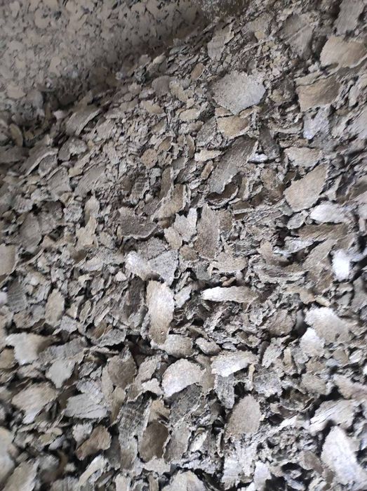 Жито,царевица, слънчоглед и слънчогледово кюспе, шрот