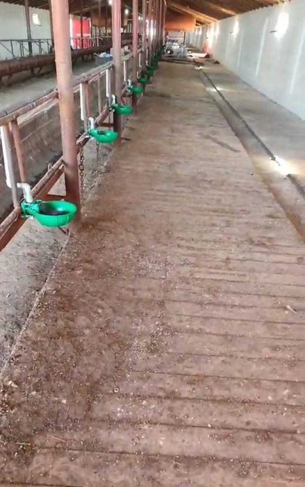 Поилка автоматическая для КРС