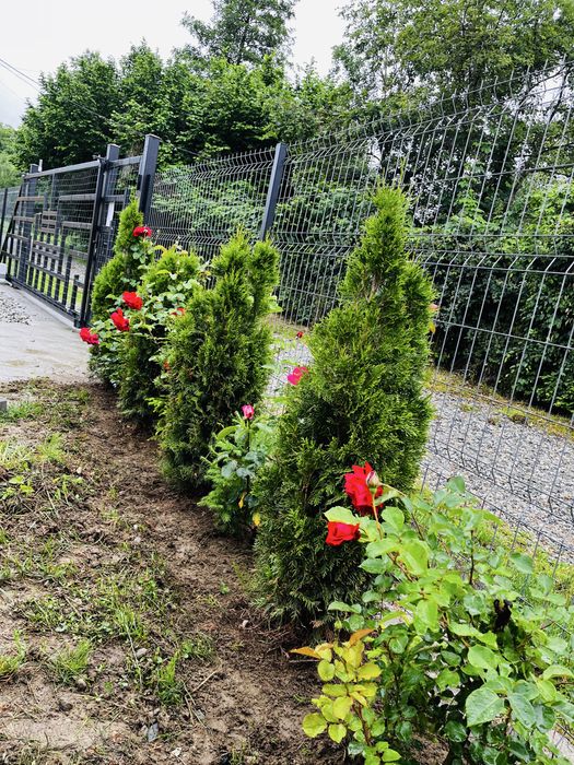 Vand Teren Valea Avrigului