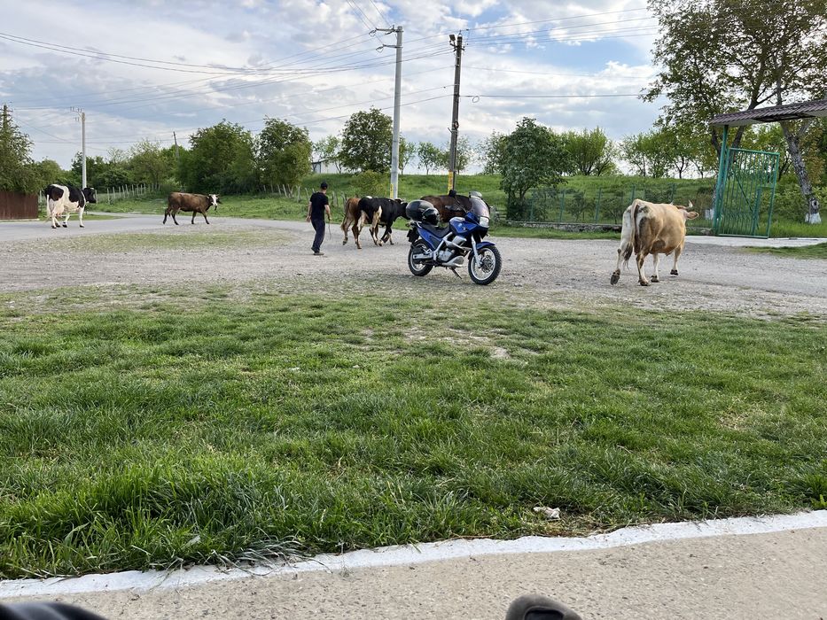 Vand pentru piese: Bmw F650ST anul 1999