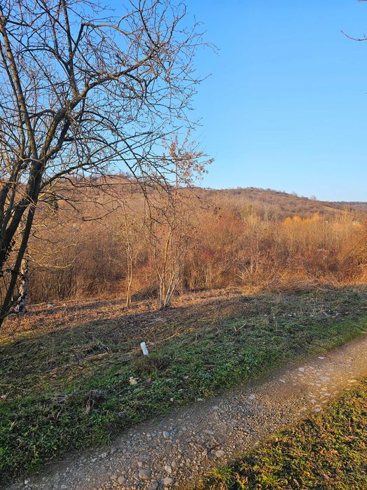 De vanzare teren intravilan in Cartierul Podgoria 892mp