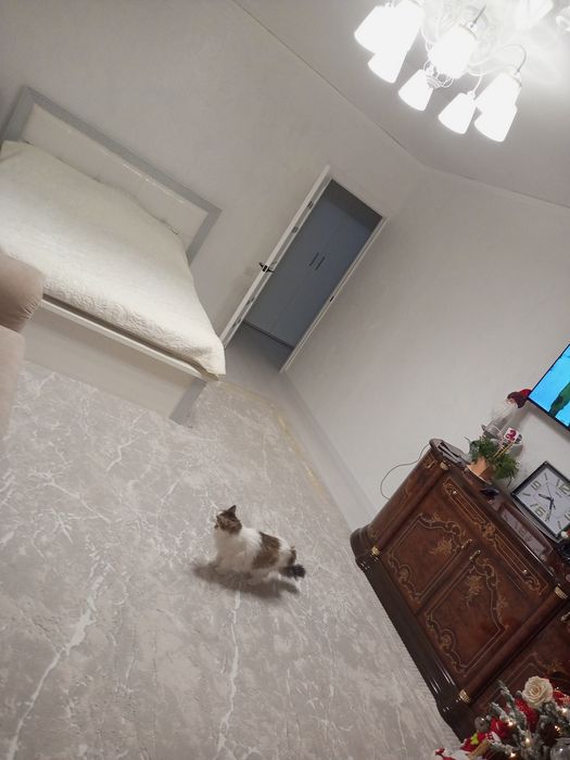 Продам однокомнатную квартиры