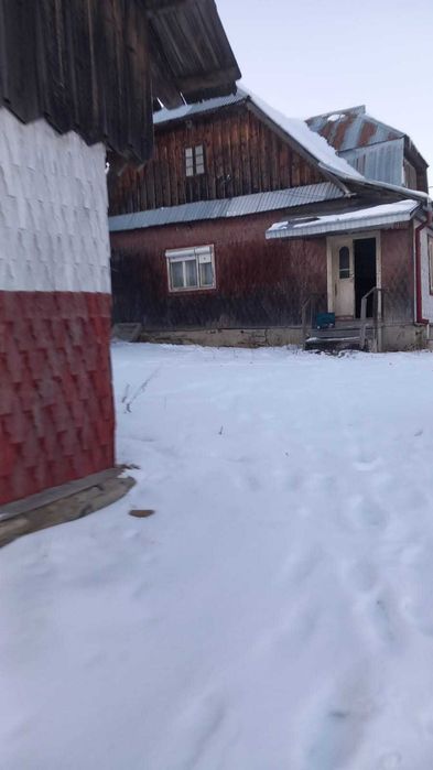 Teren intravilan in Poiana Stampei, 3900 mp