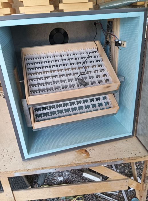 Инкубатор 176та товук тухуми сигади.