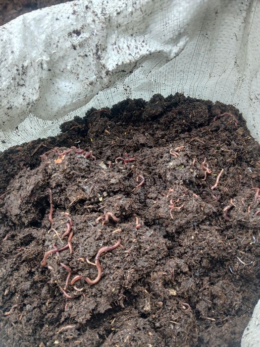 Биогумус отличного качества