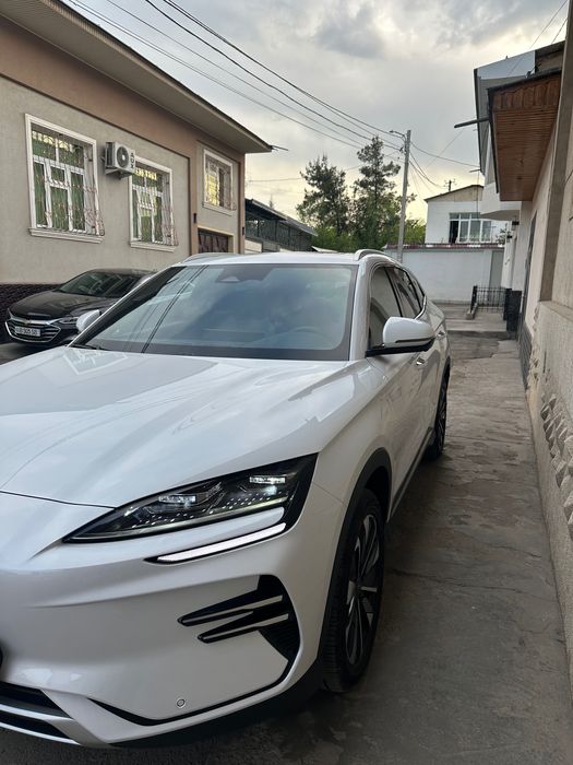 BYD Chempion Restaling 2024
