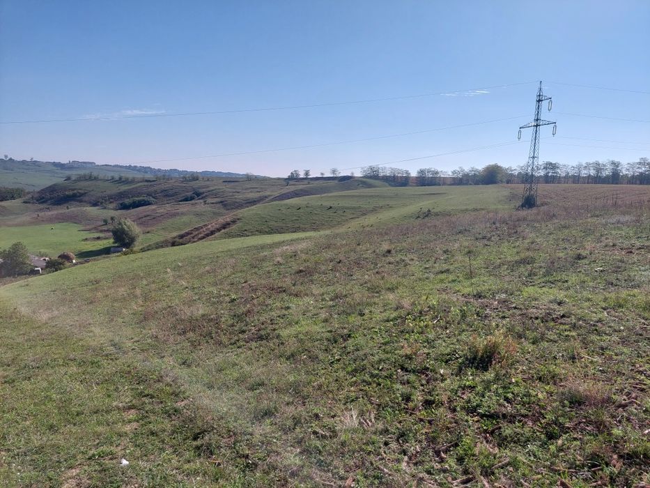 Teren pasune linga livada Curtesti