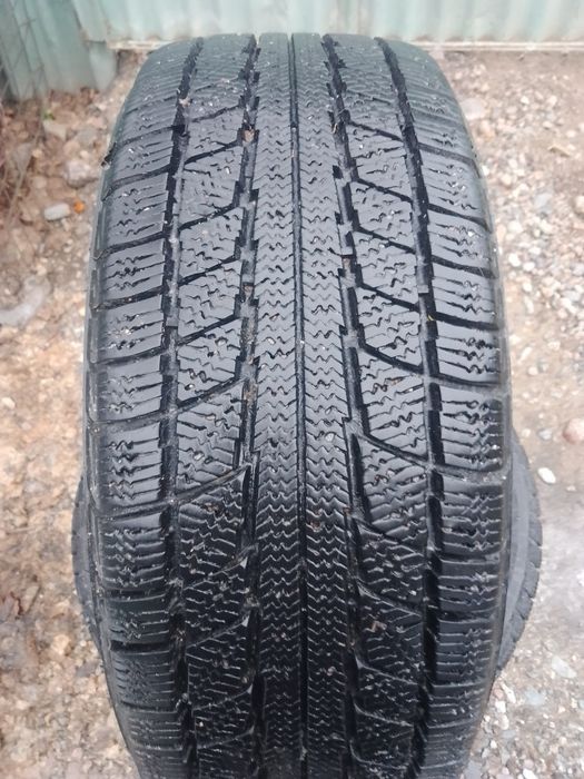 Шины зимние Трианжел