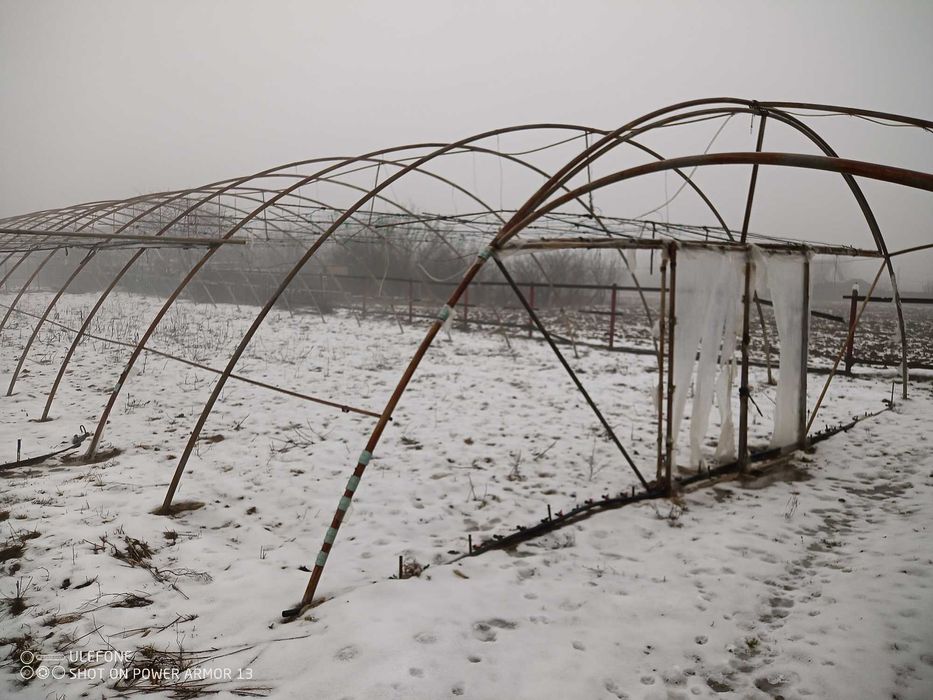 Solar adus din Grecia