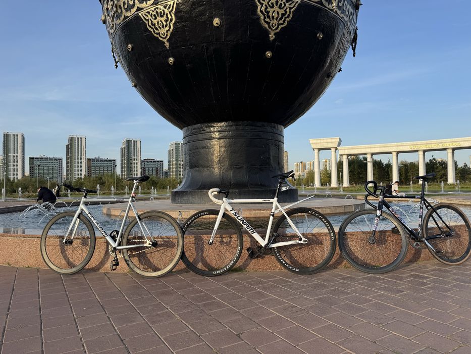 Тсунами снм 100