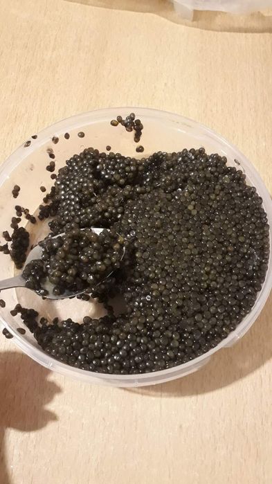 Икра крупное зерно малосолка