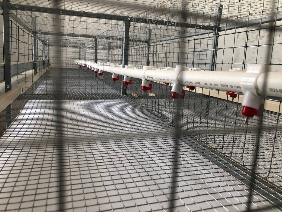 Jo'jalar VA broller tovuqlar uchun qafas