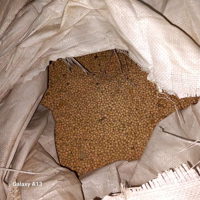 Mazare selectata 2025