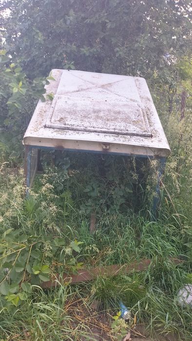 vând fan 1000 de bucăți și semi cabina Ford 4000