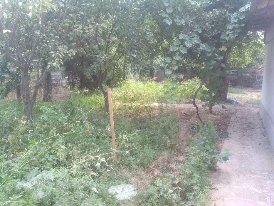 Кук сарой 8 сот 4ком